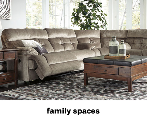 Family Spaces